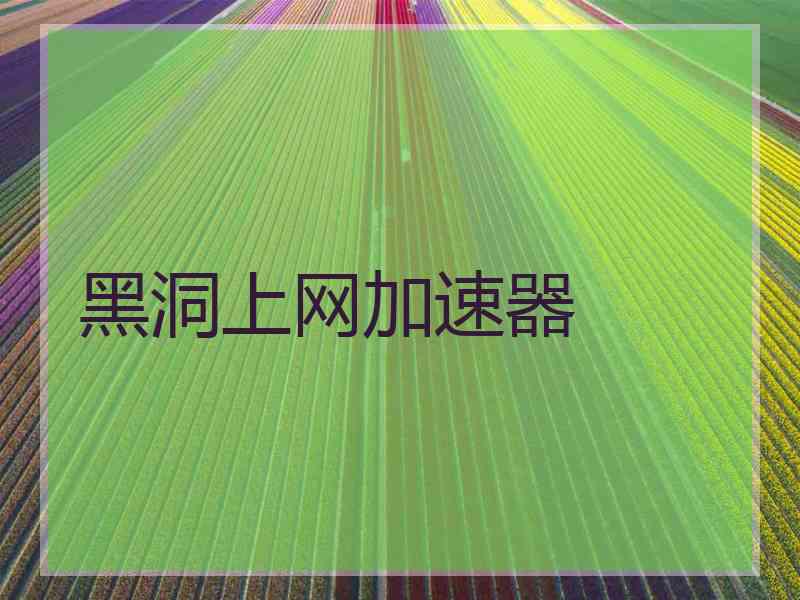 黑洞上网加速器