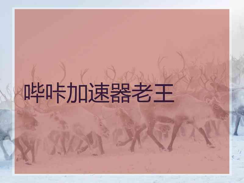 哔咔加速器老王