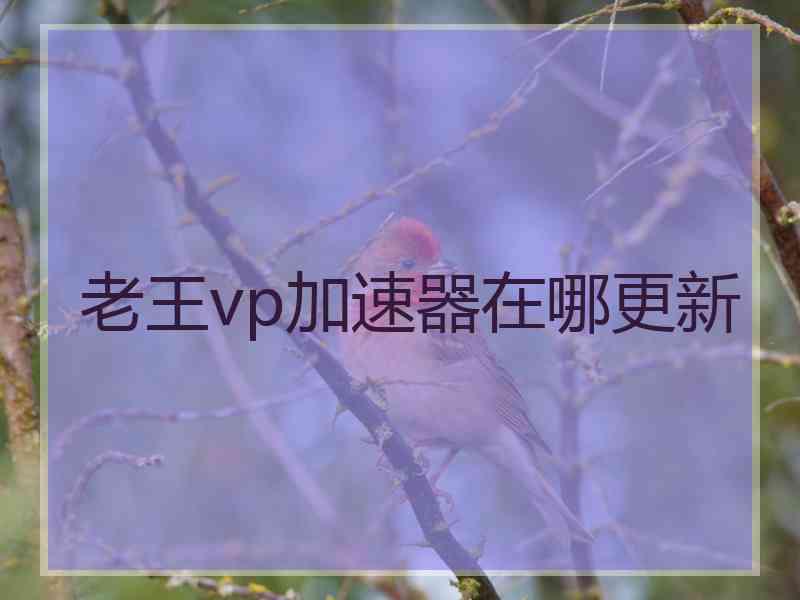 老王vp加速器在哪更新