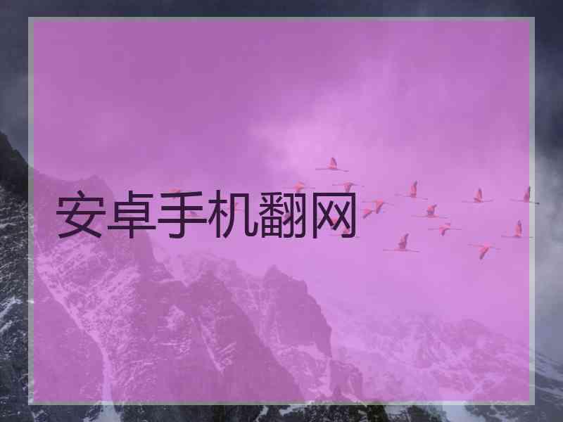 安卓手机翻网