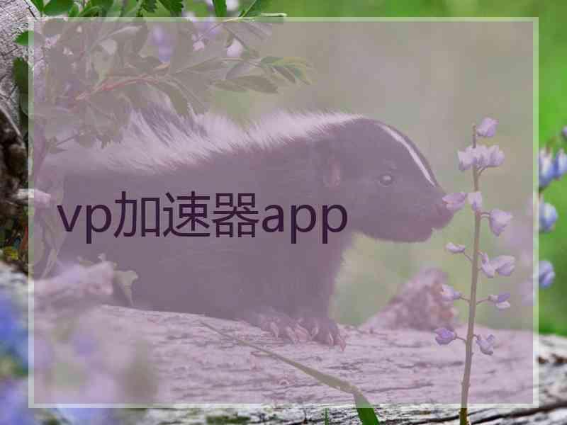 vp加速器app