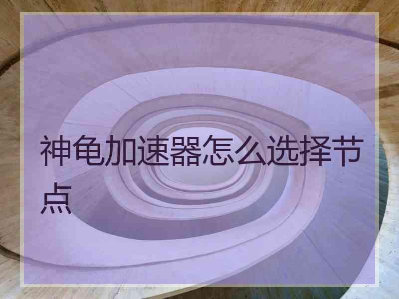 神龟加速器怎么选择节点