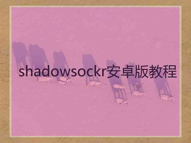 shadowsockr安卓版教程