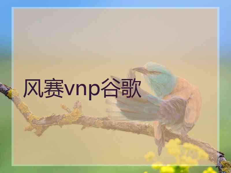 风赛vnp谷歌