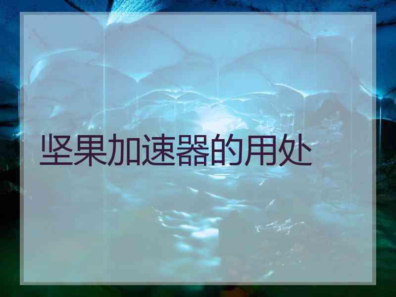 坚果加速器的用处