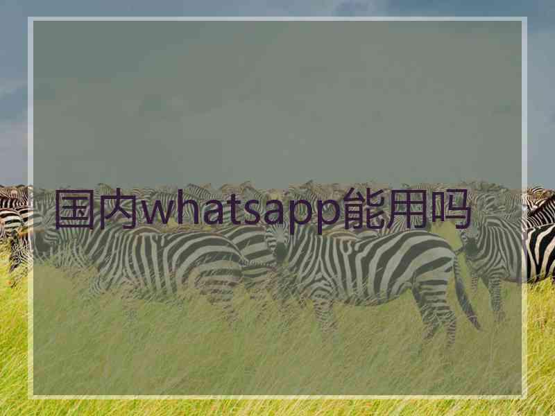 国内whatsapp能用吗