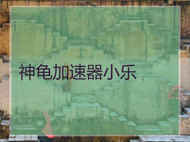 神龟加速器小乐