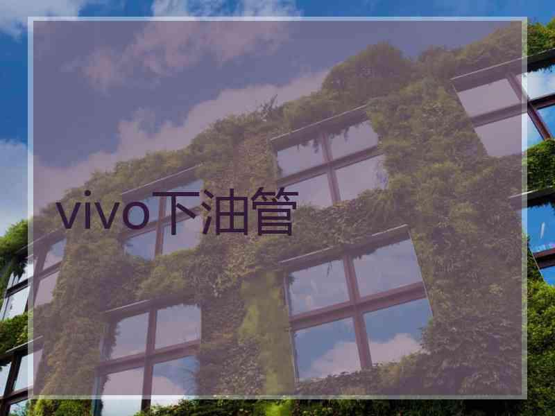vivo下油管