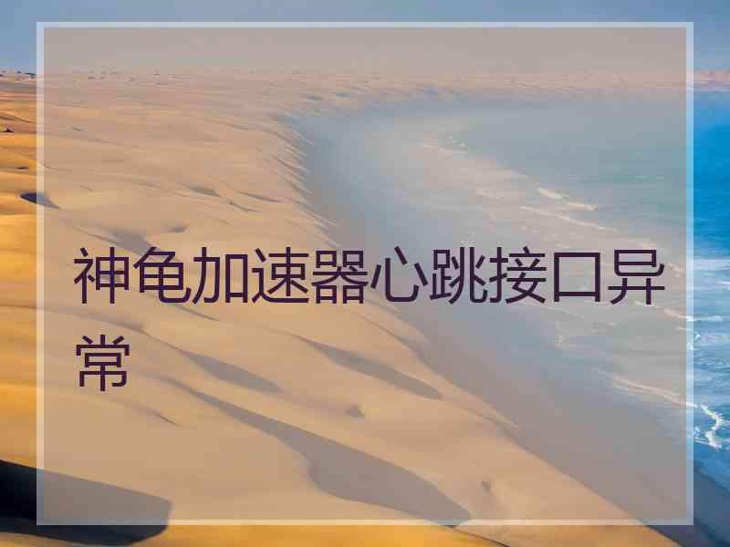 神龟加速器心跳接口异常