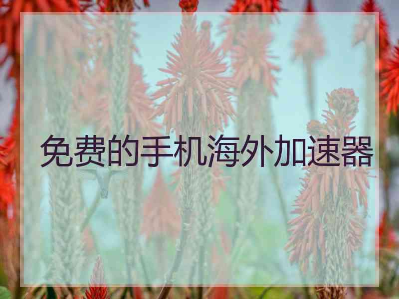 免费的手机海外加速器