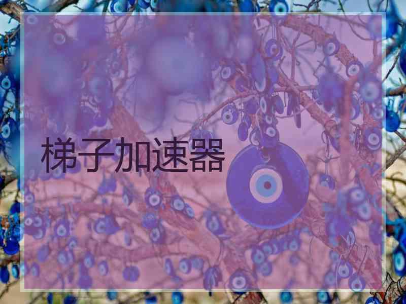 梯子加速器