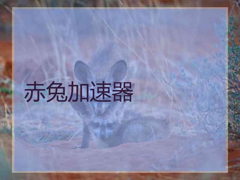 赤兔加速器