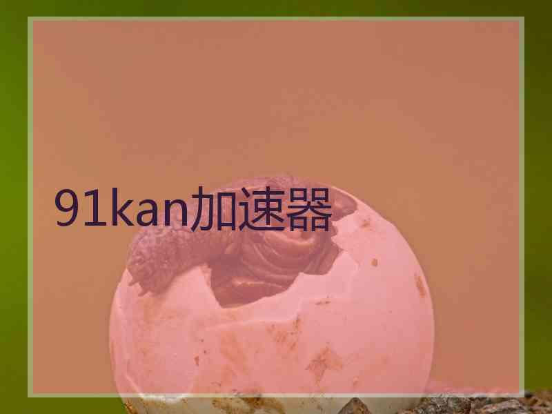 91kan加速器