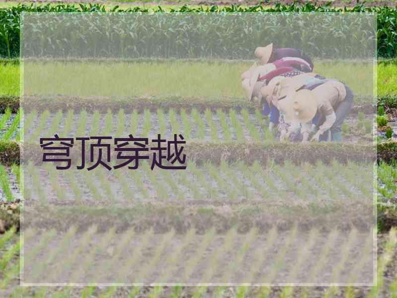 穹顶穿越