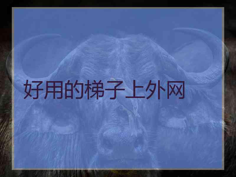 好用的梯子上外网