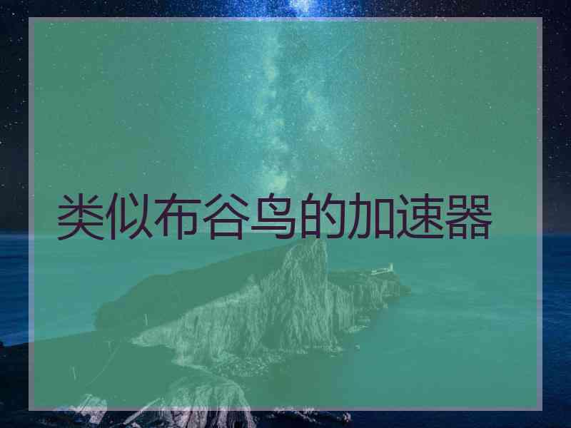 类似布谷鸟的加速器