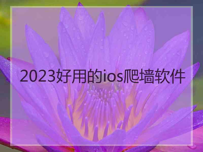 2023好用的ios爬墙软件