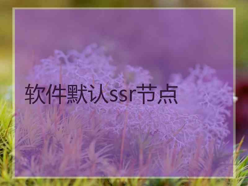 软件默认ssr节点