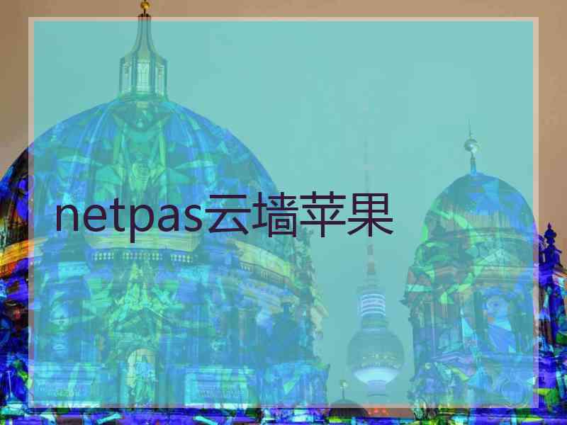 netpas云墙苹果