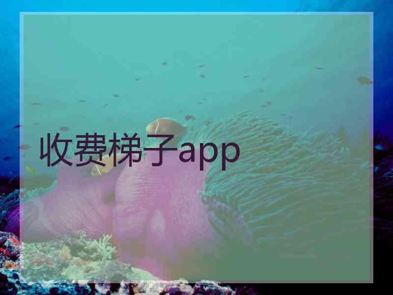 收费梯子app