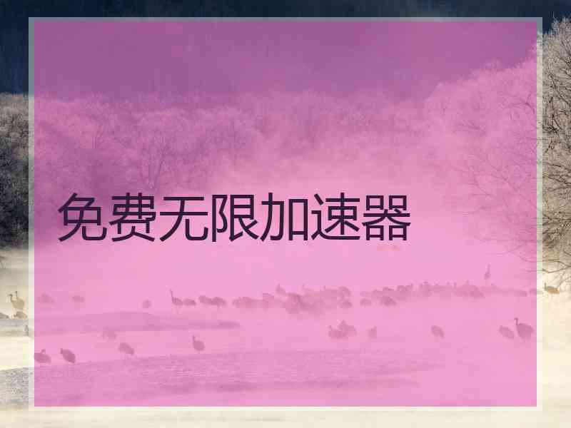 免费无限加速器