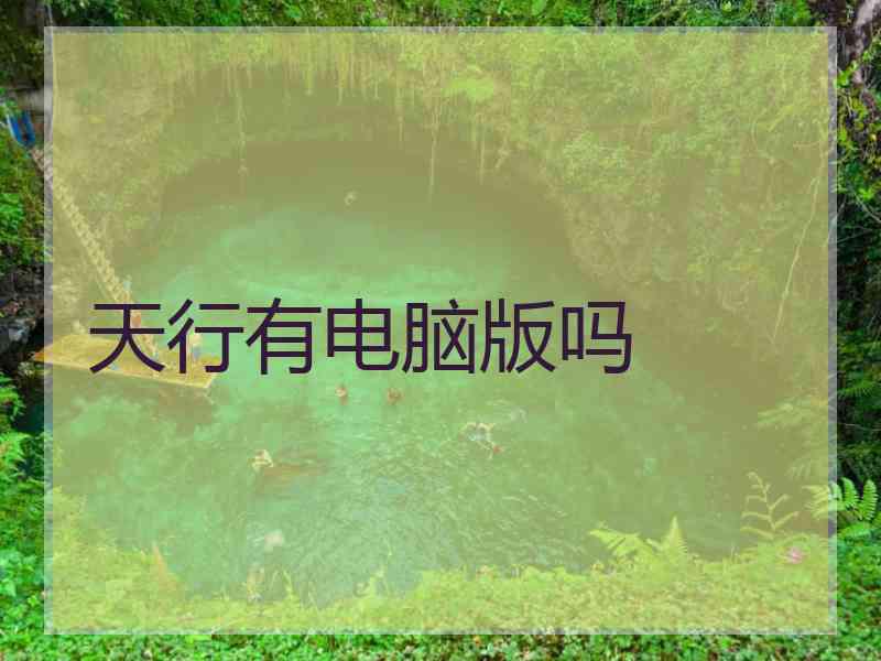 天行有电脑版吗