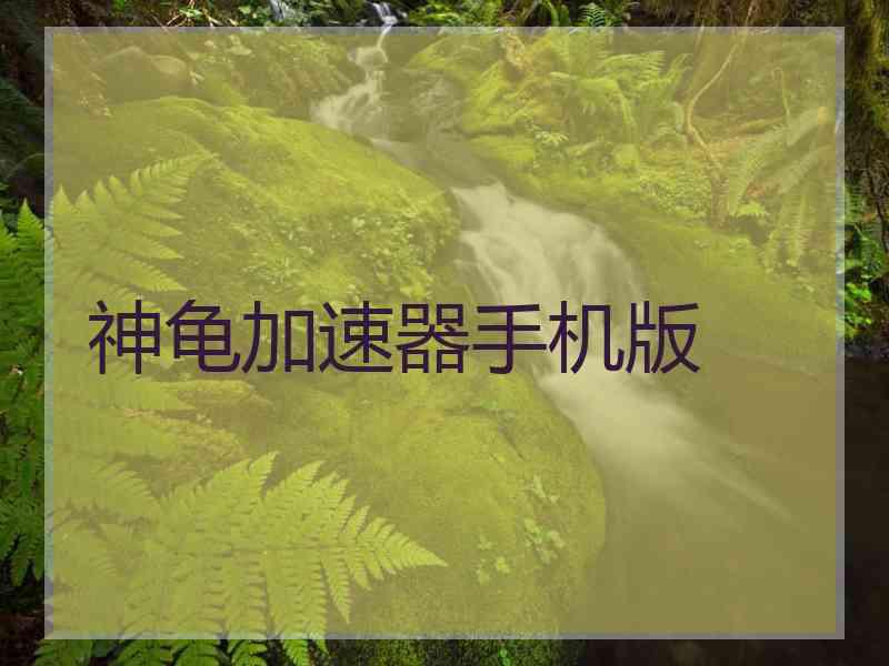 神龟加速器手机版