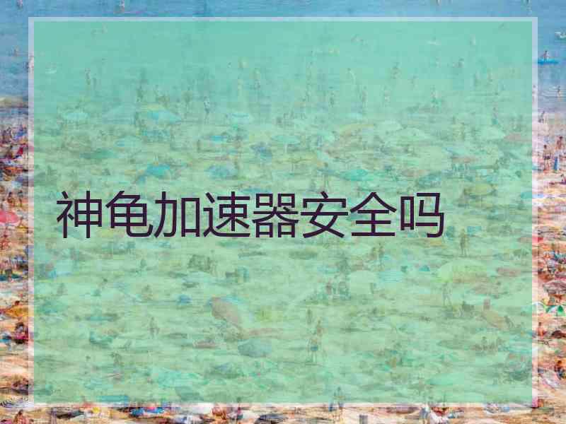神龟加速器安全吗