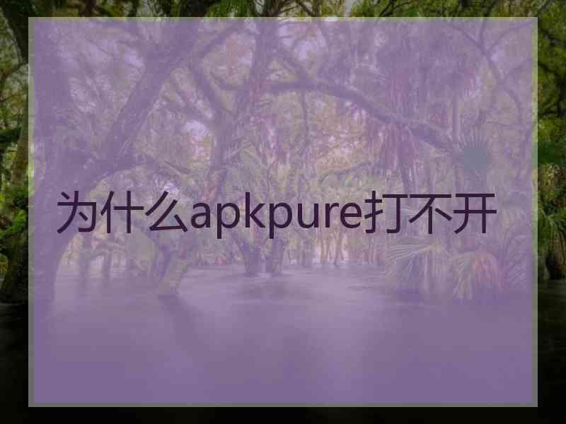 为什么apkpure打不开