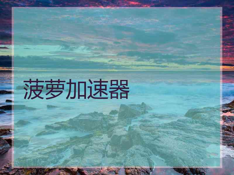 菠萝加速器