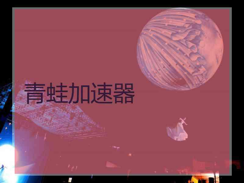 青蛙加速器
