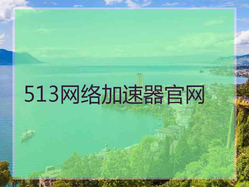 513网络加速器官网