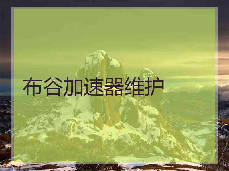 布谷加速器维护