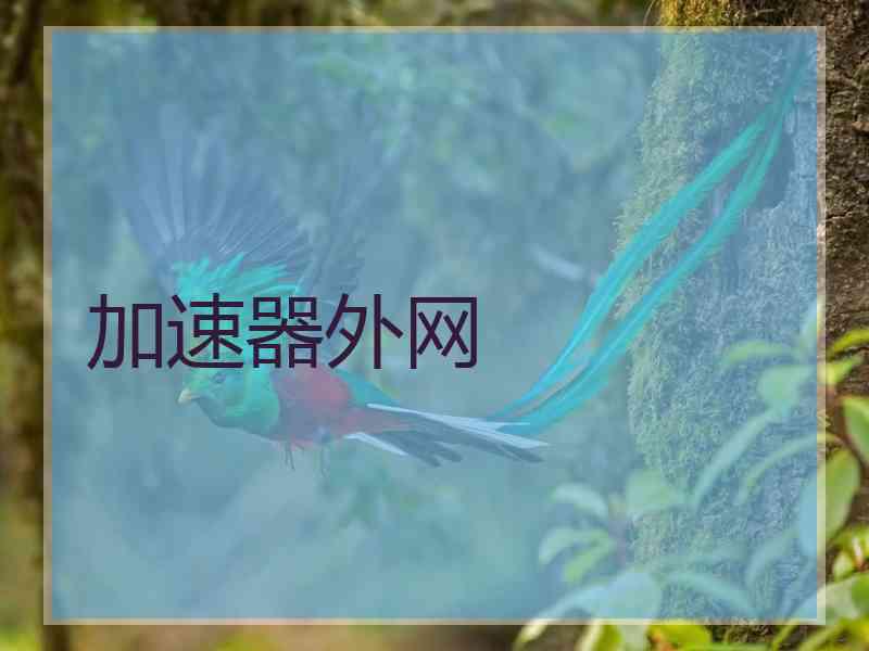 加速器外网