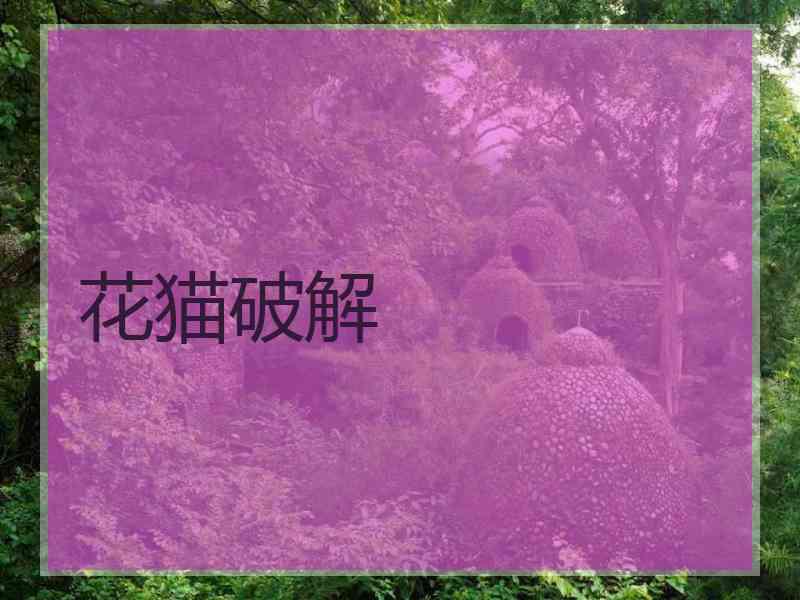 花猫破解