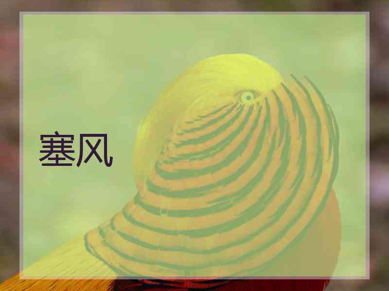 塞风