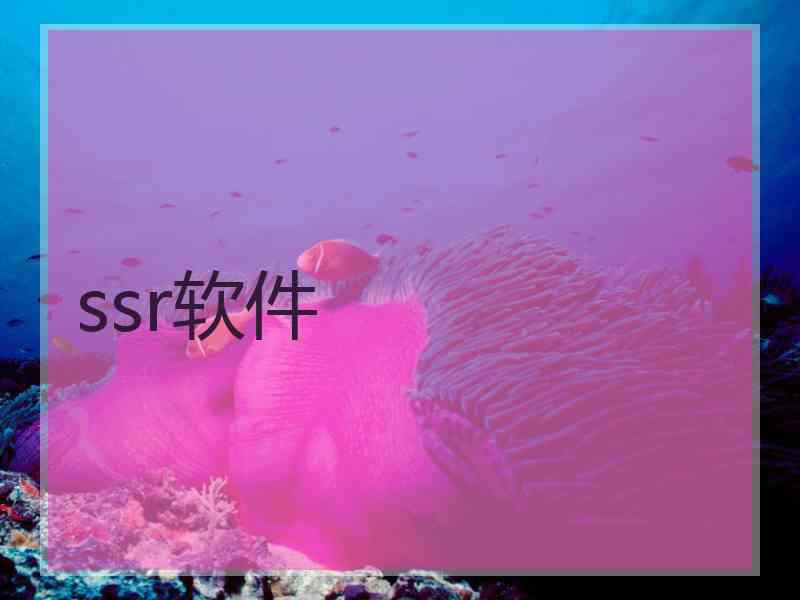ssr软件