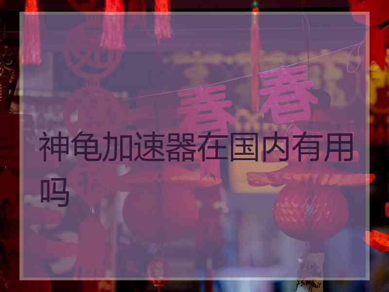 神龟加速器在国内有用吗