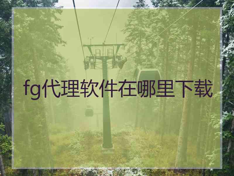 fg代理软件在哪里下载