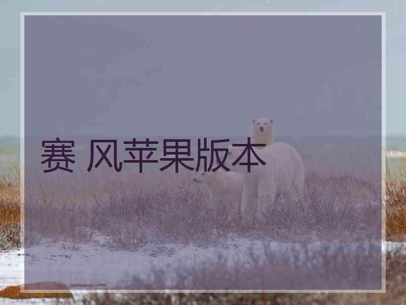 赛 风苹果版本
