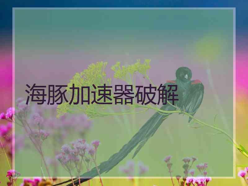 海豚加速器破解