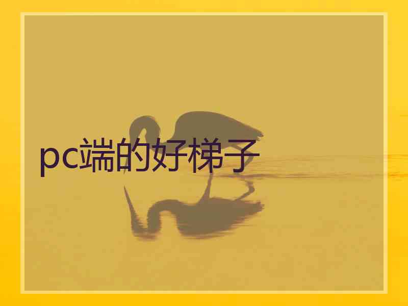 pc端的好梯子