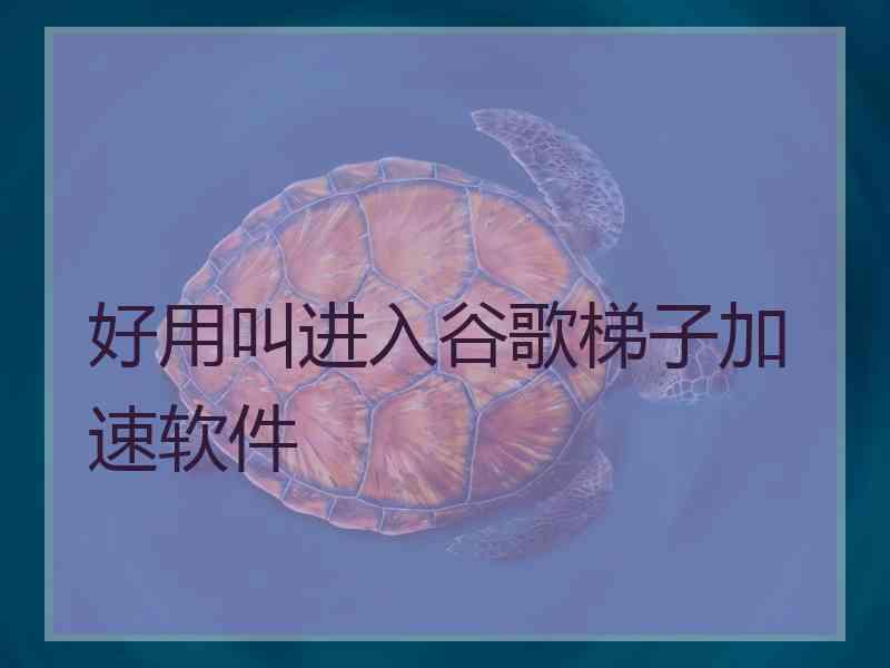 好用叫进入谷歌梯子加速软件