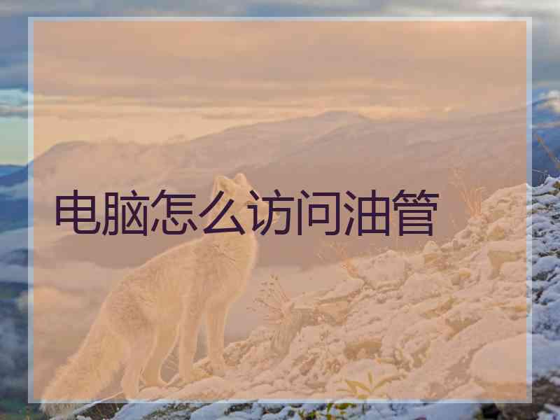 电脑怎么访问油管