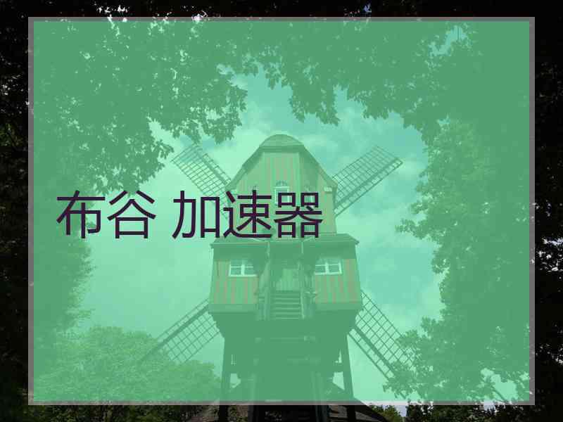 布谷 加速器