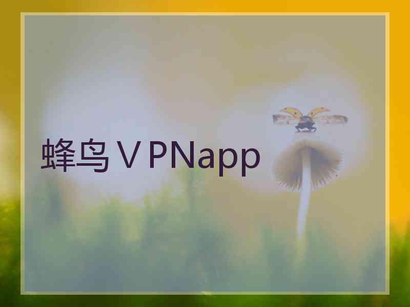 蜂鸟ⅤPNapp