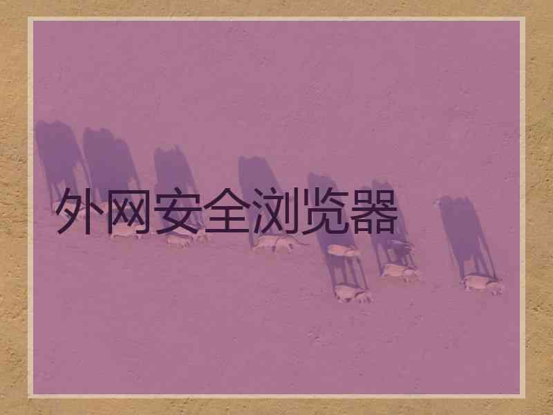 外网安全浏览器