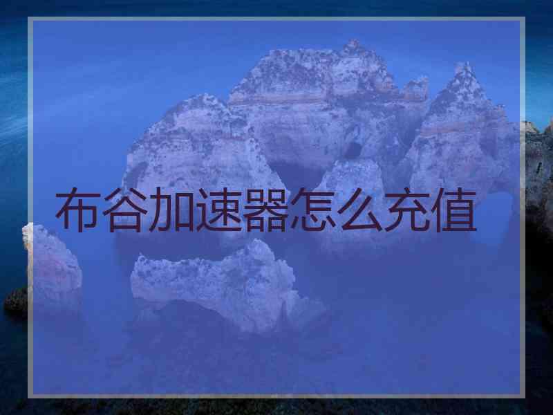 布谷加速器怎么充值