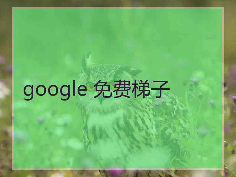 google 免费梯子