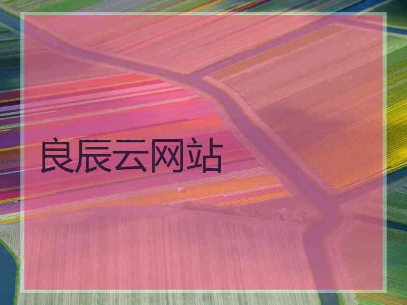 良辰云网站